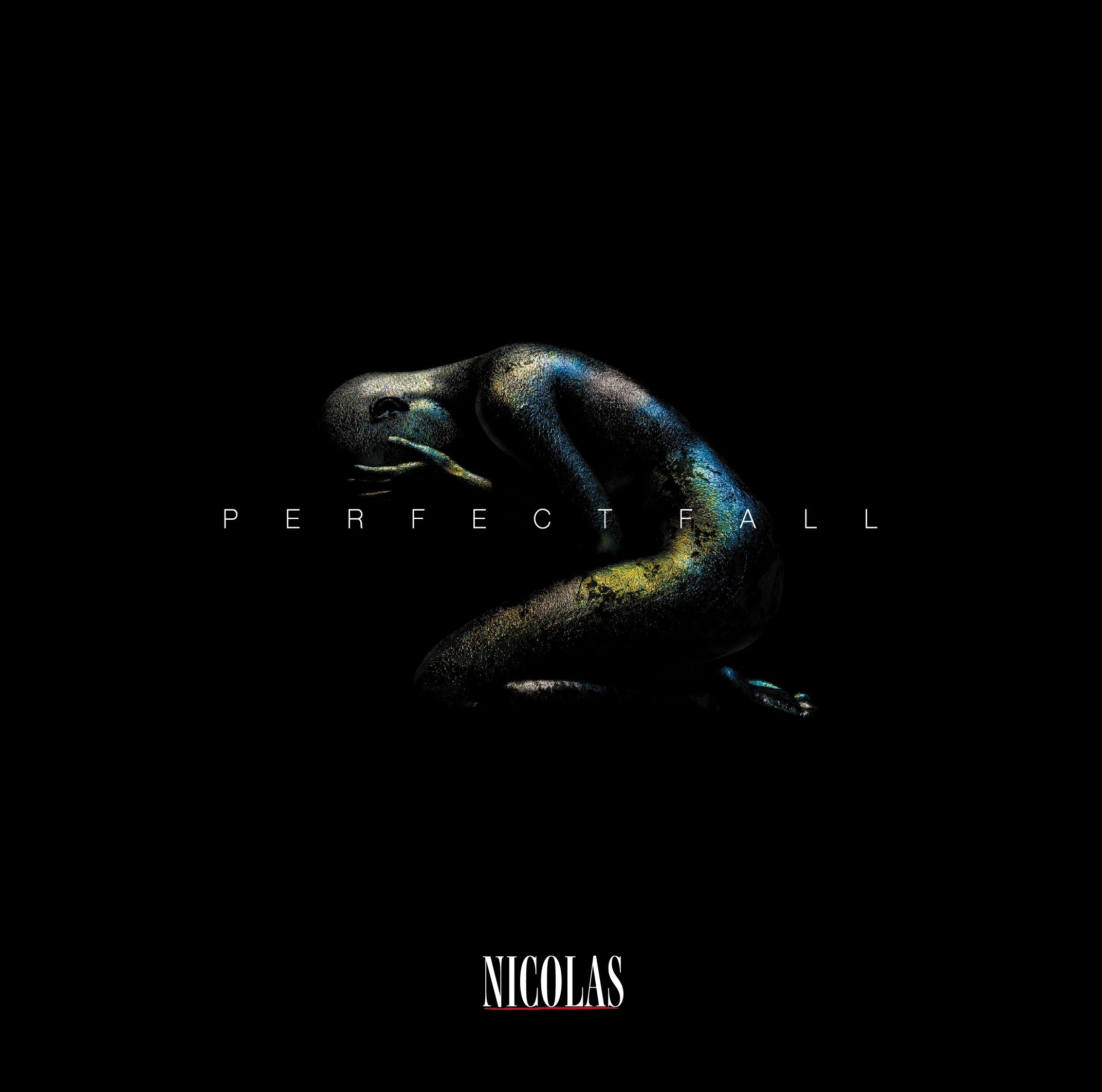 DISCOGRAPHY | NICOLAS OFFICIAL SITE